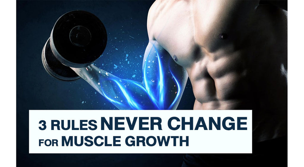 3 Rules Which Will Never Change For Muscle Growth