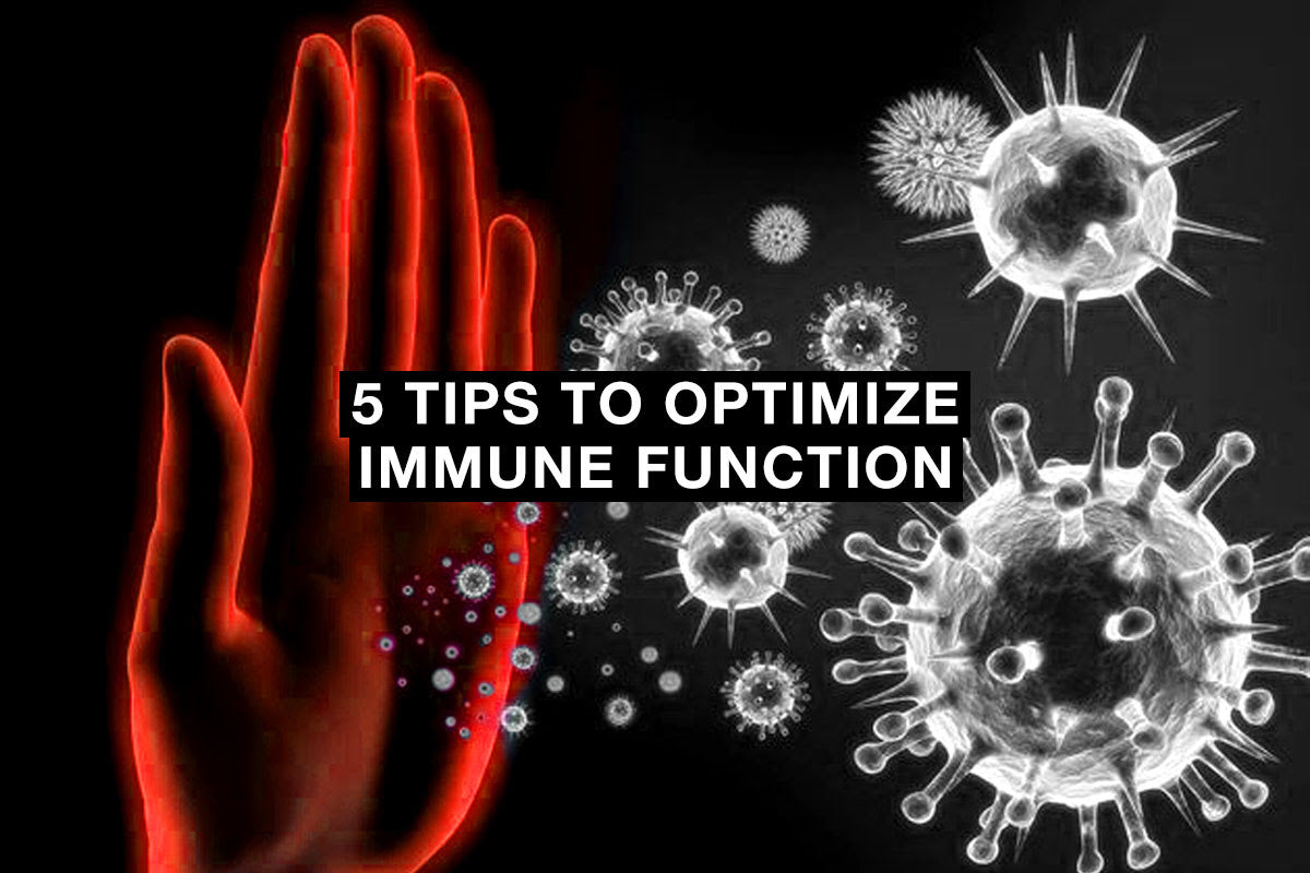 5 Tips to Optimize Immune Function (2025) – Ultimate Sup