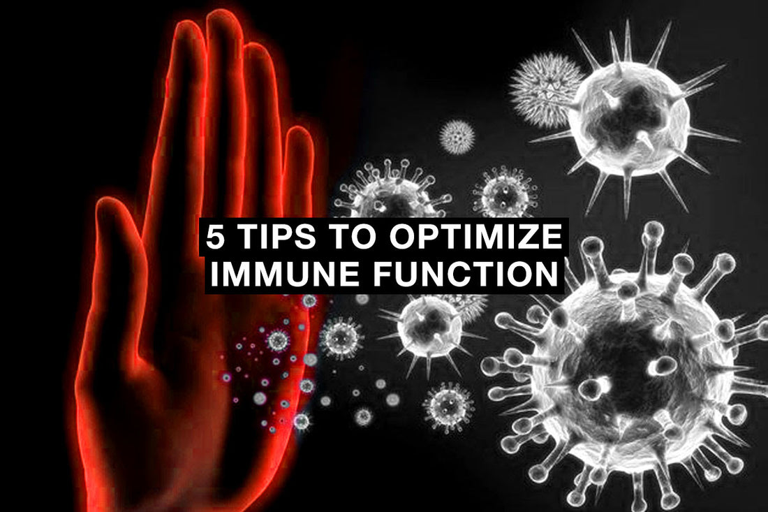 Tips to optimize Immune system by Ultimate Sup Singapore