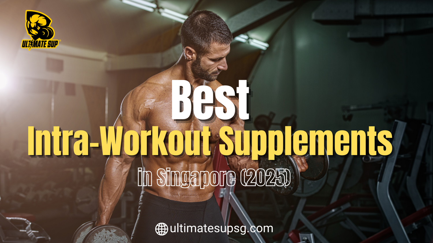 Best Intra Workout Supplements For Training (2025)