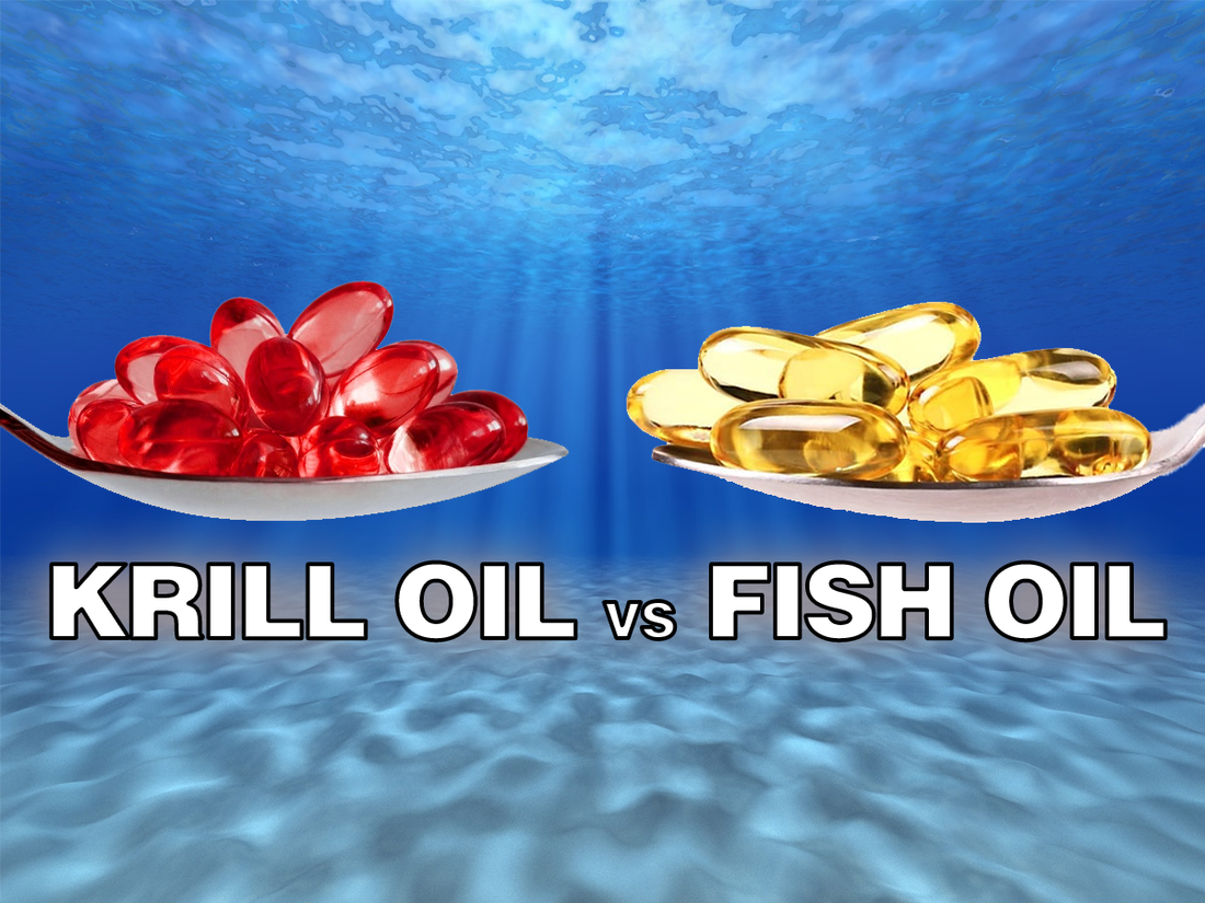 Is Krill Oil Really Better Than Fish Oil? (2025)