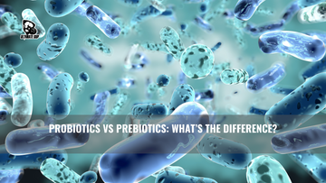 Probiotics vs Prebiotics Singapore