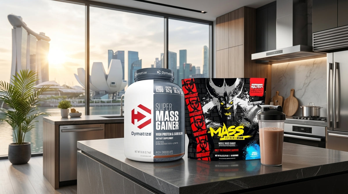Big Muscle vs Muscleblaze Mass Gainer Singapore (2026)