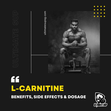 L-Carnitine: Benefits, Side Effects, and Dosage Ultimate Sup L-Carnitine: Benefits, Side Effects, and Dosage Ultimate Sup