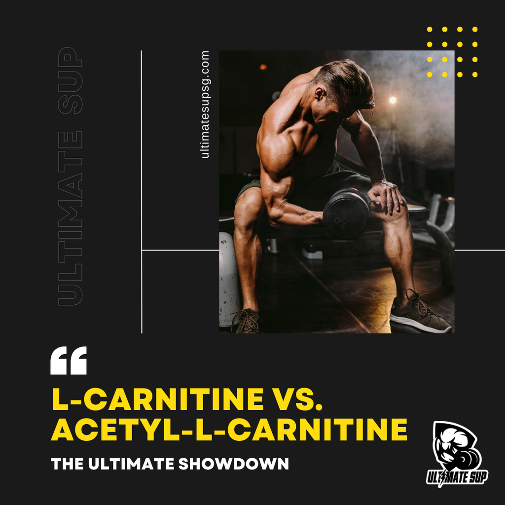 The Ultimate Showdown: L-Carnitine vs. Acetyl-L-Carnitine