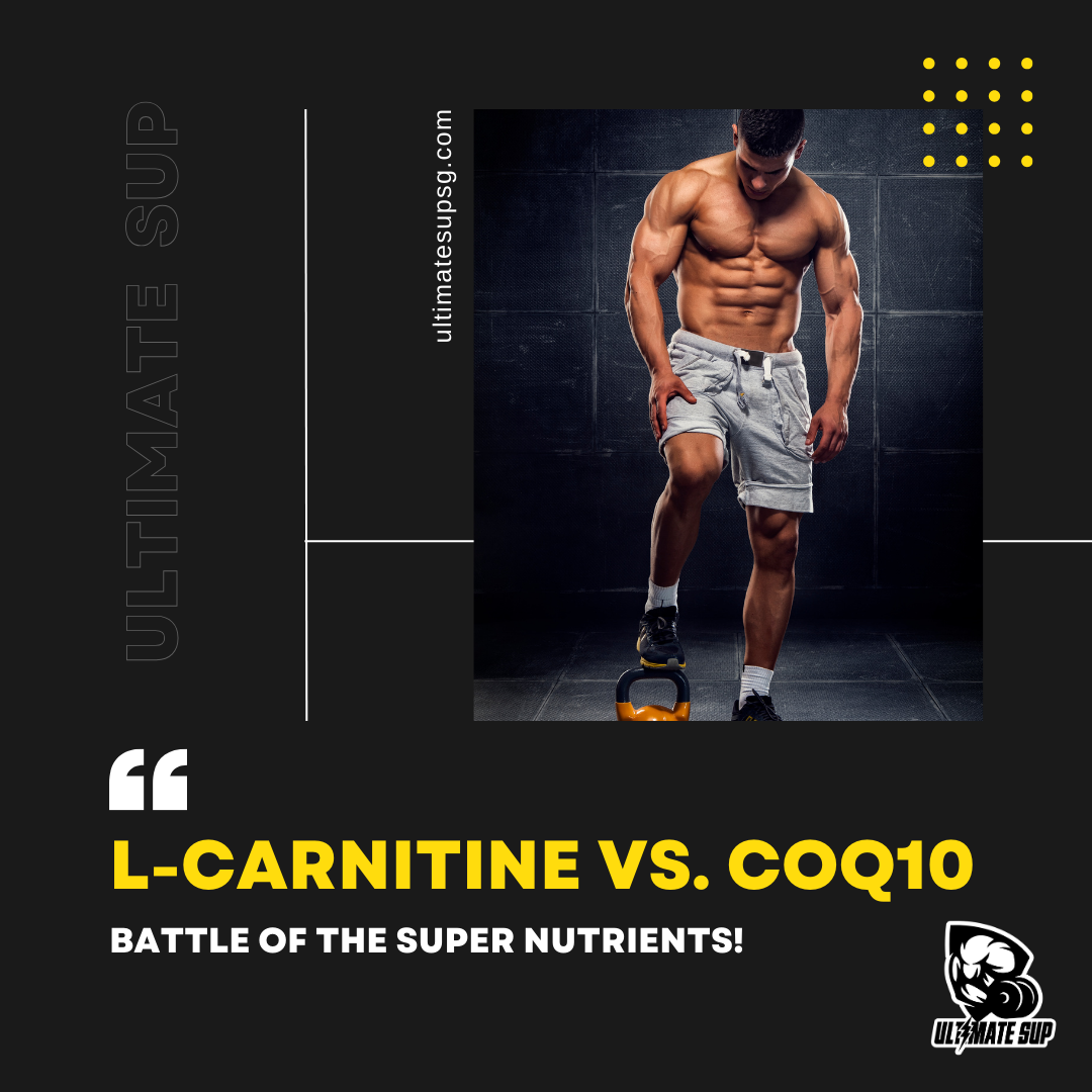 L-Carnitine vs. CoQ10: Battle of the Super Nutrients! Ultimate Sup L-Carnitine vs. CoQ10: Battle of the Super Nutrients! Ultimate Sup