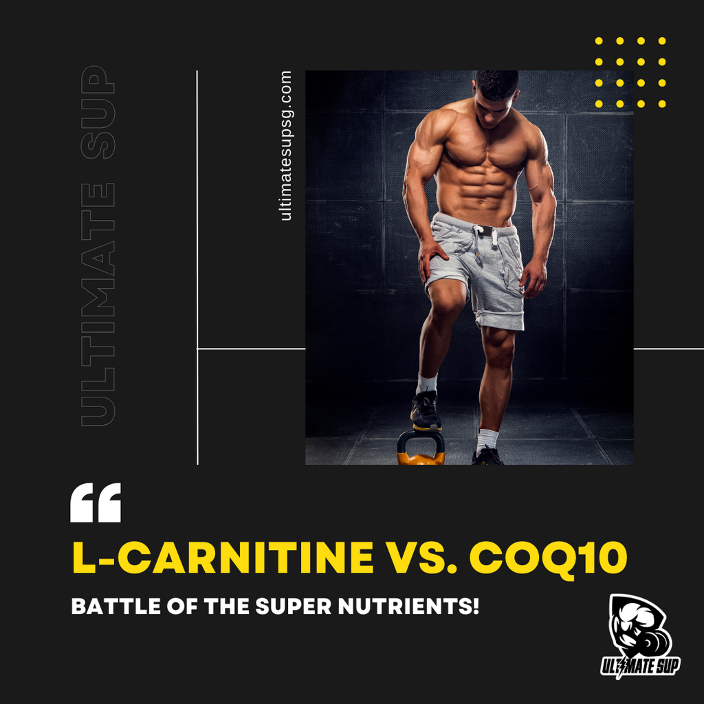 L-Carnitine vs. CoQ10: Battle of the Super Nutrients!