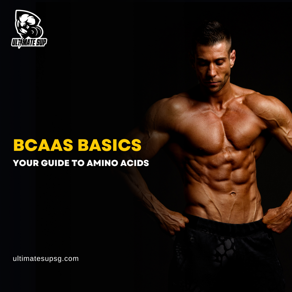 BCAAs Basics Explained: Your Guide to Amino Acids