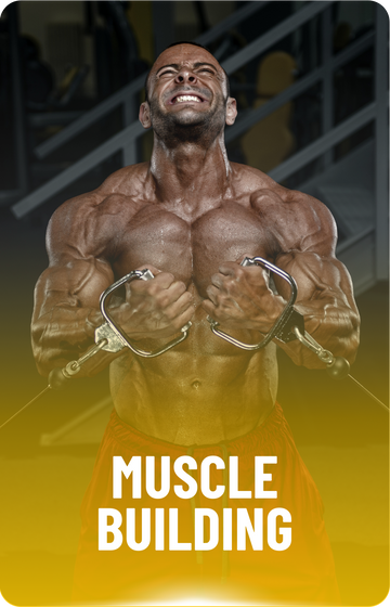 Muscle Building