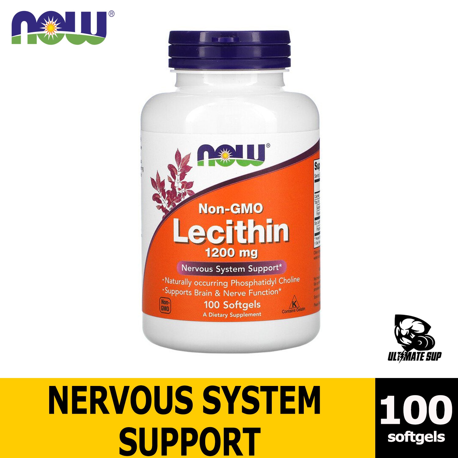 Now Foods, Lecithin, supports Brain & Nerve Function 1200 mg, 100-200 Softgels - Ultimate Sup Singapore