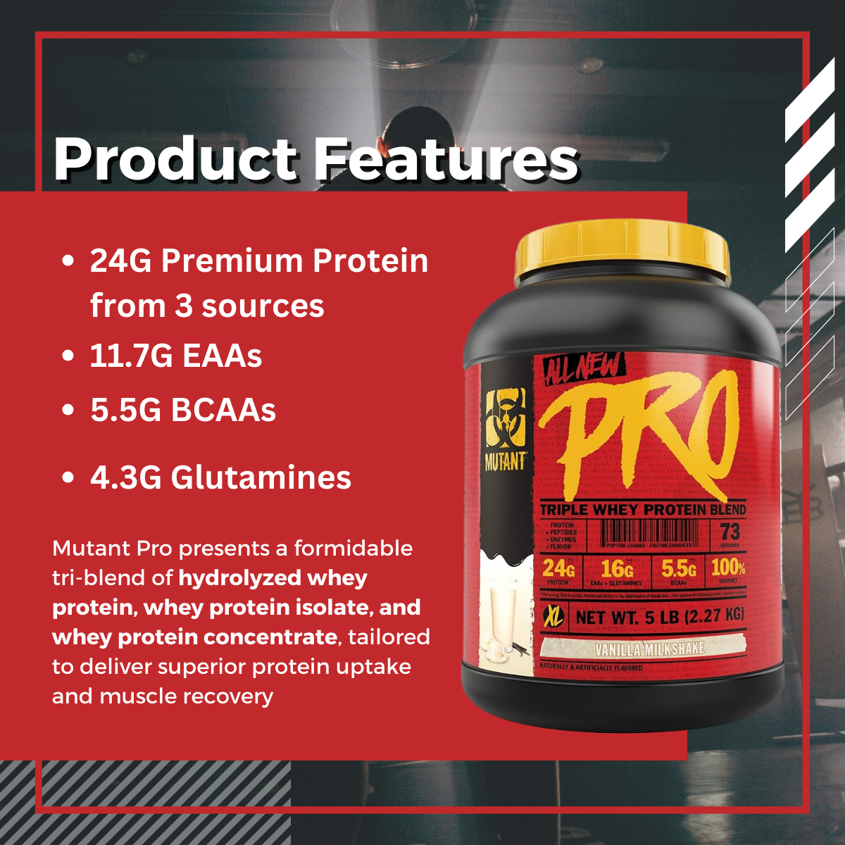 Mutant Pro, Triple Whey Protein Powder, Support Building Muscle, Various Flavors, 5 Lbs - Ultimate Sup Singapore