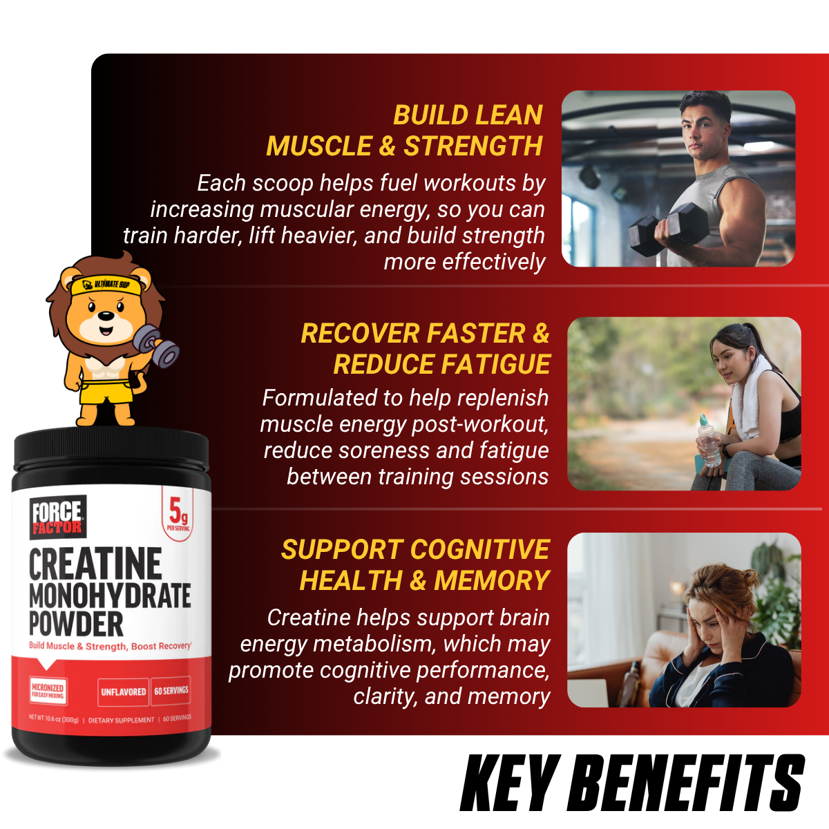 Force Factor Creatine Monohydrate Micronized Powder, Support Cognitive Health, Memory, Muscle Growth Unflavored 60 ser - Ultimate Sup Singapore
