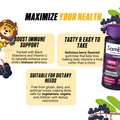 Sambucol Kids Gummies, Immune Support with Black Elderberry & Vitamin C, Kids 4-12, 30 Gummies - Ultimate Sup Singapore