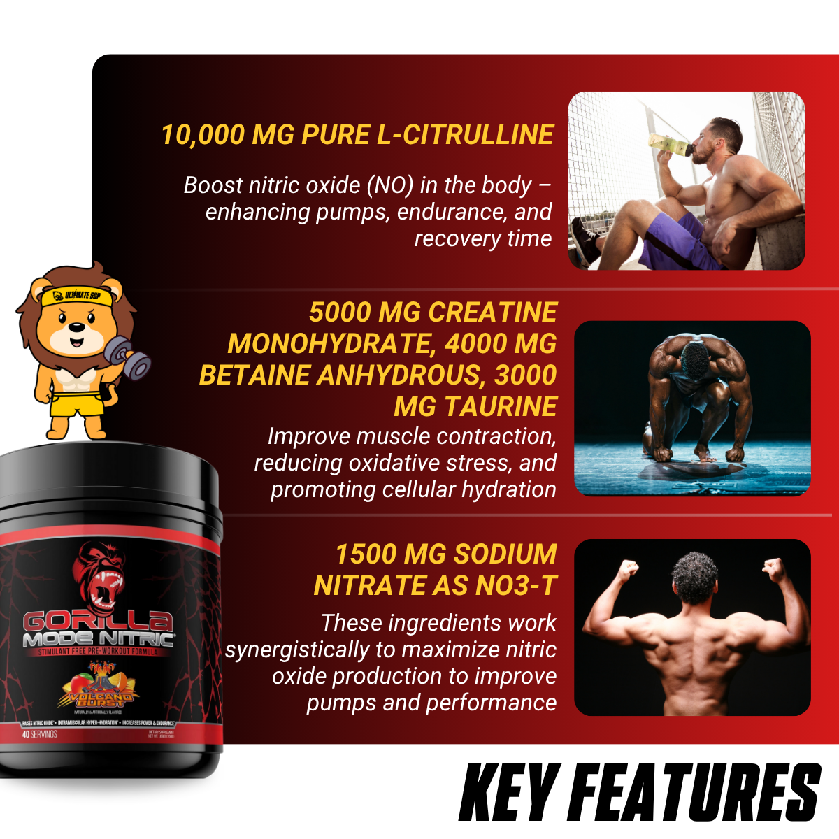 Gorilla Mind, Gorilla Mode Nitric Upgraded Stimulant Free Pre-Workout, Massive Pumps 40 servings - Ultimate Sup Singapore