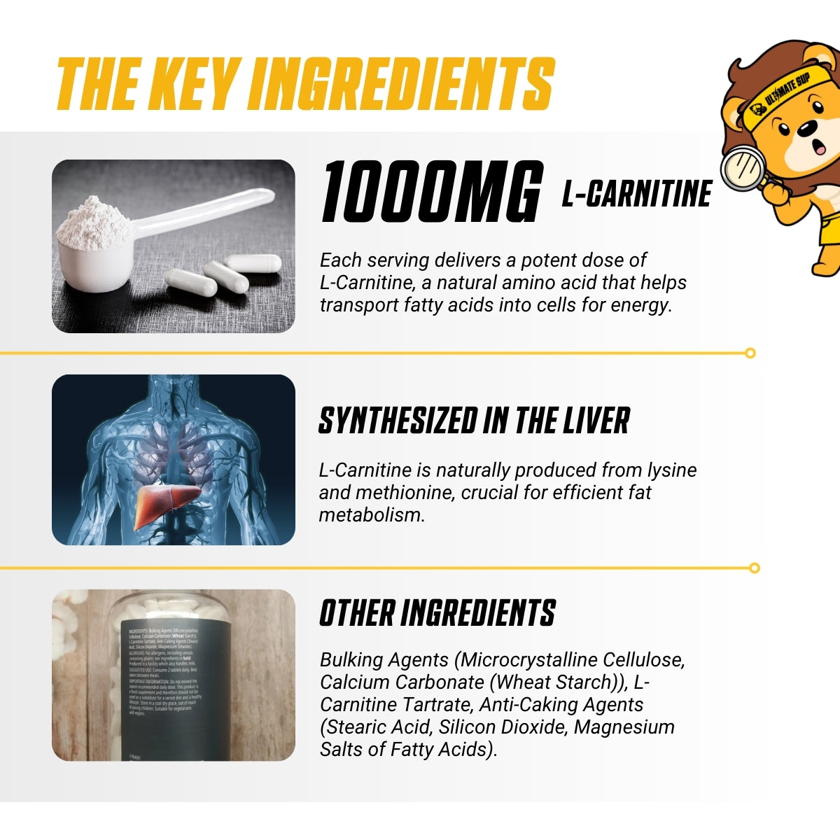 Myprotein L-Carnitine Tablets, 1000mg Carnitine, Amino Acid, Support Fat Burning, Muscle Recovery, 90-180 tablets - Ultimate Sup Singapore