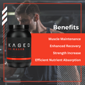 Kaged Muscle Re-Kaged Premium Whey Protein 2lbs - Ultimate Sup Singapore