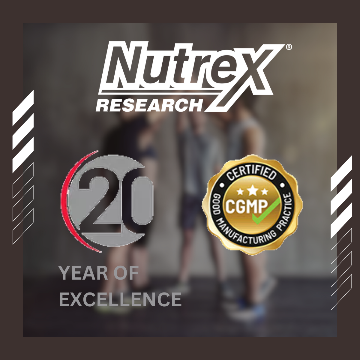 Nutrex Research, IsoFit Whey Protein Isolate, 30-70 Sers - Ultimate Sup Singapore