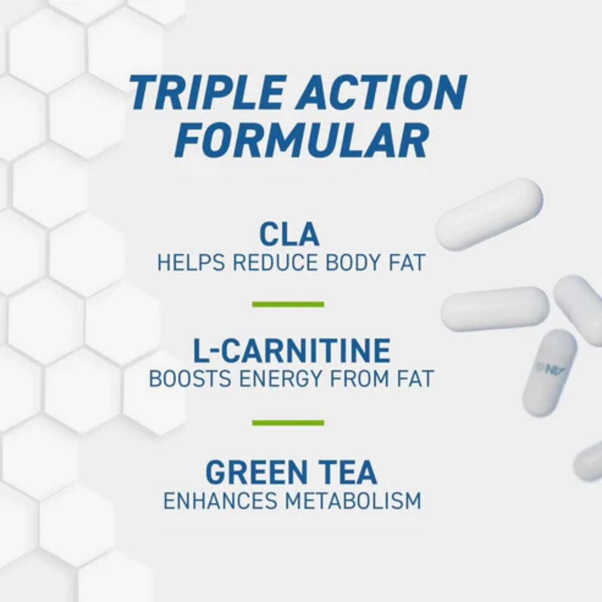 Applied Nutrition, CLA + L-Carnitine & Green Tea, Metabolism & Energy Support, 100 Capsules