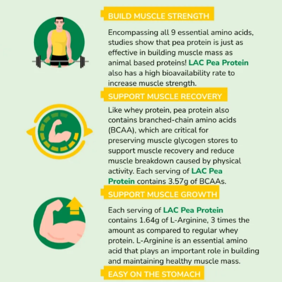 Infographic about LAC Pea Protein benefits on a light green background