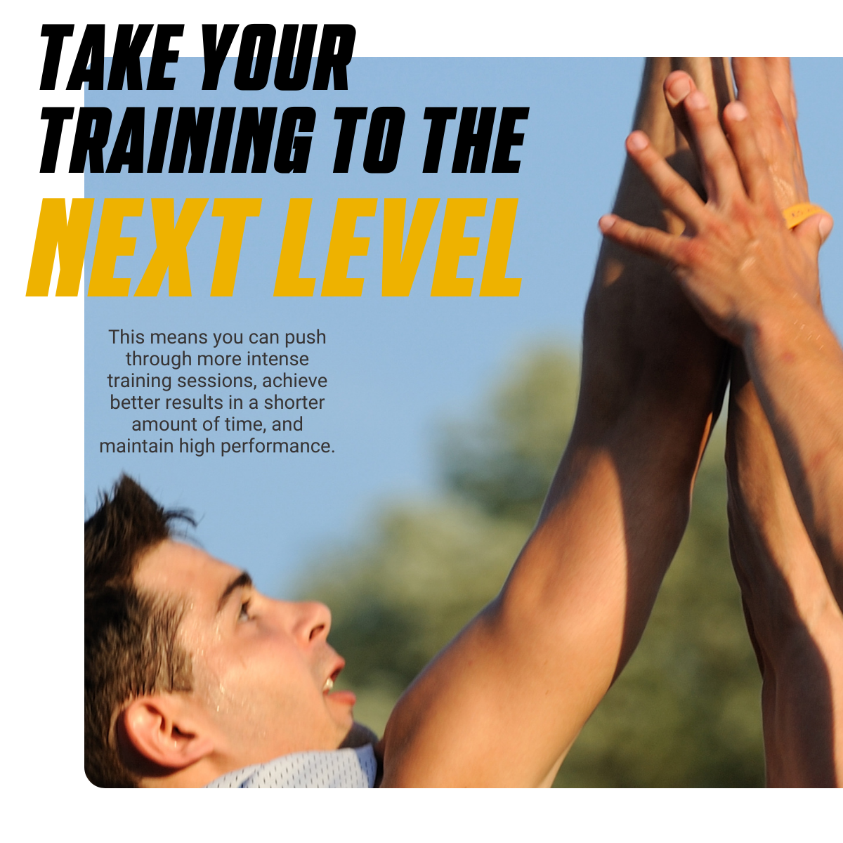 Ultimate, Burn & Build Stack, Muscle Fuel – Shred Fat, Build Muscle - Ultimate Sup Singapore