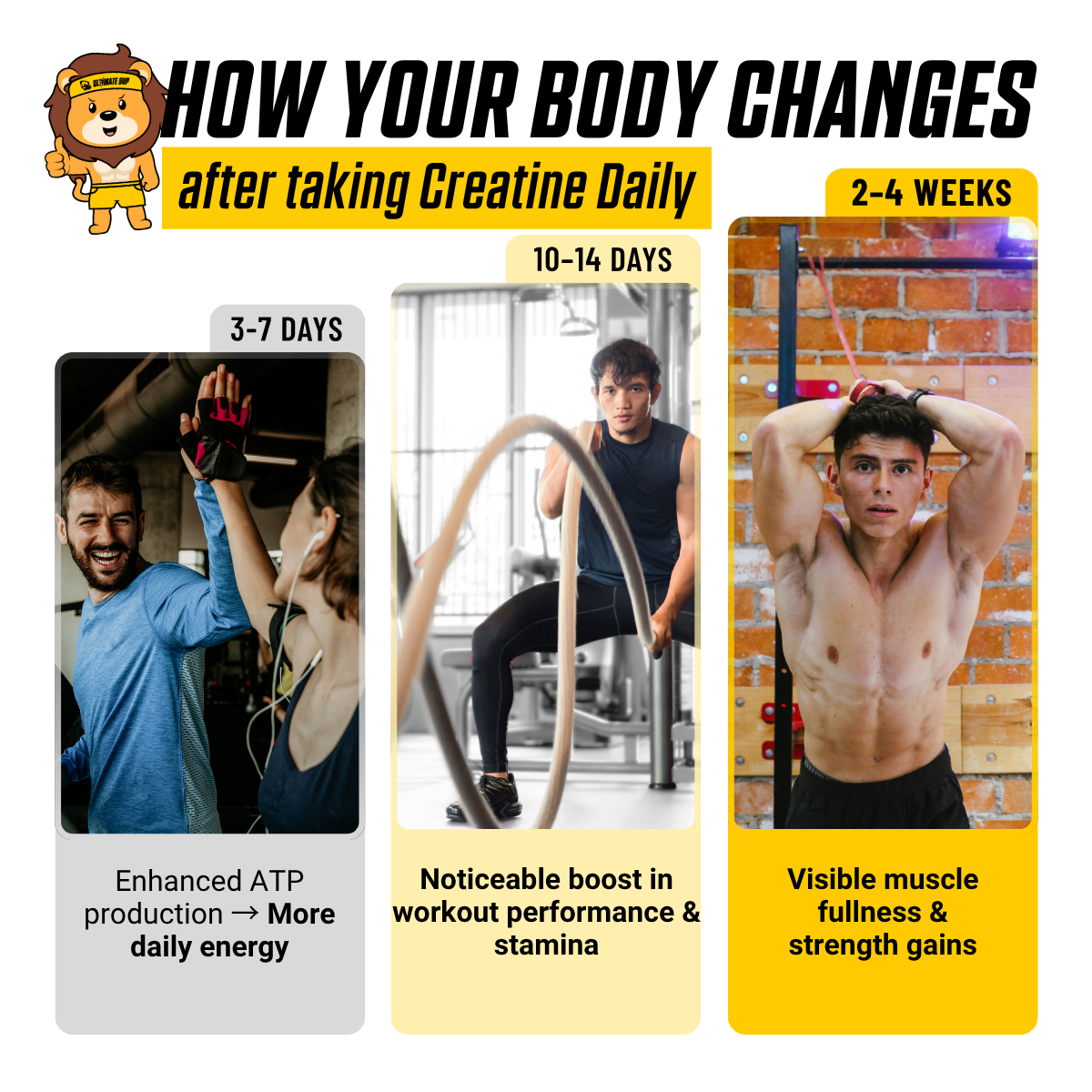 Raw Nutrition, Essentials, Creatine Monohydrate, Unflavored, 30 Stick Packs, 0.18 oz (5.1g) Each - Ultimate Sup Singapore