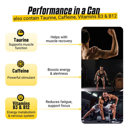 Applied Nutrition, ABE Pre Workout Cans, Pack of 12 Cans x 330ml - Ultimate Sup Singapore
