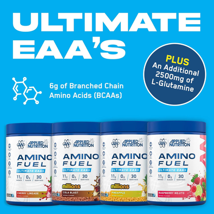 Applied Nutrition Amino Fuel, EAA Essential Amino Acids Powder, Muscle Fuel & Recovery 390g - Ultimate Sup Singapore