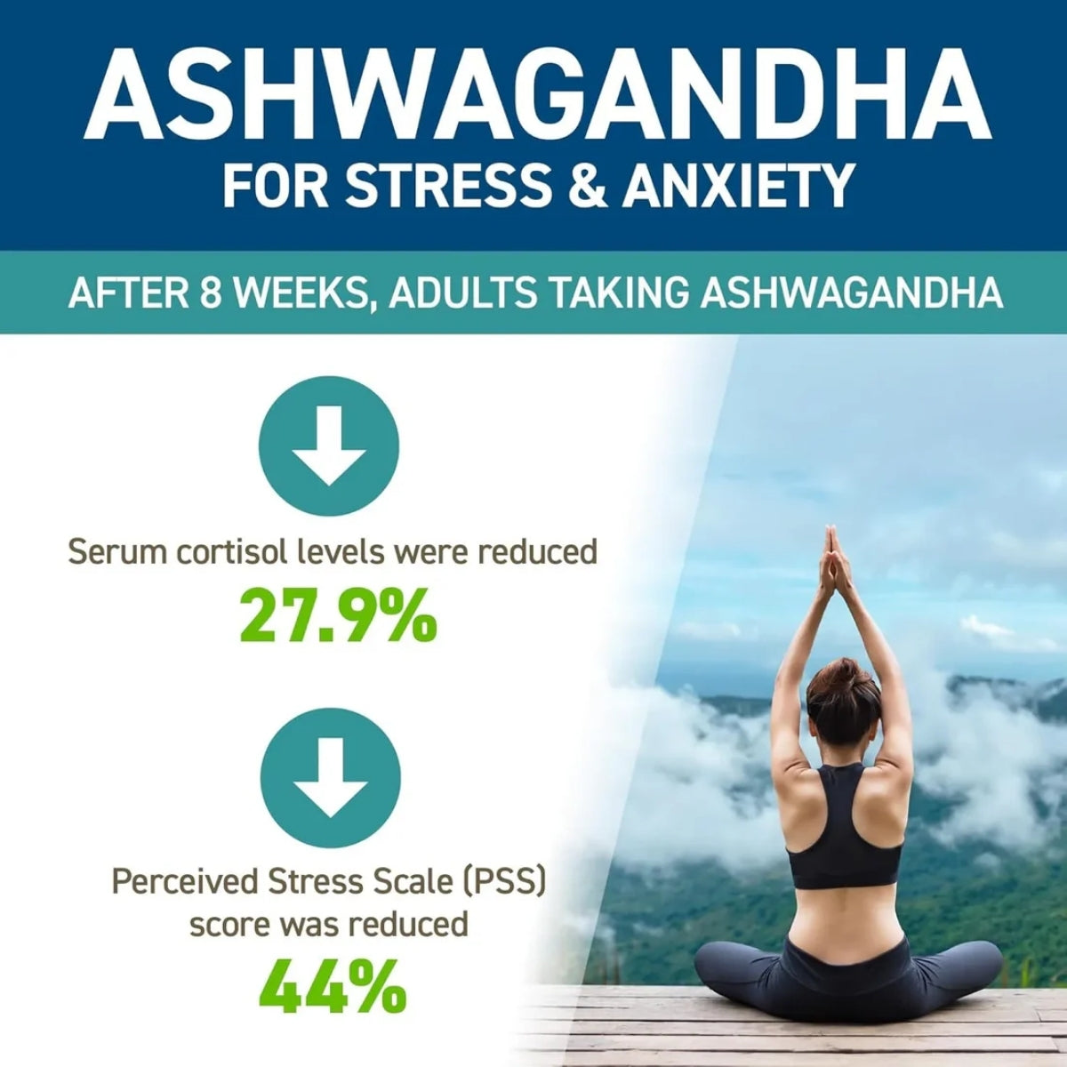 Applied Nutrition, Ashwagandha KSM-66, Mood & Wellbeing Support, 60 Capsules - Ultimate Sup Singapore