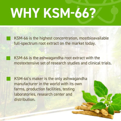 Applied Nutrition, Ashwagandha KSM-66, Mood & Wellbeing Support, 60 Capsules - Ultimate Sup Singapore