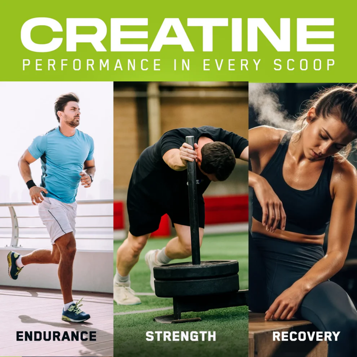 Applied Nutrition Creapure Creatine, The Gold Standard of Creatine 250g - Ultimate Sup Singapore