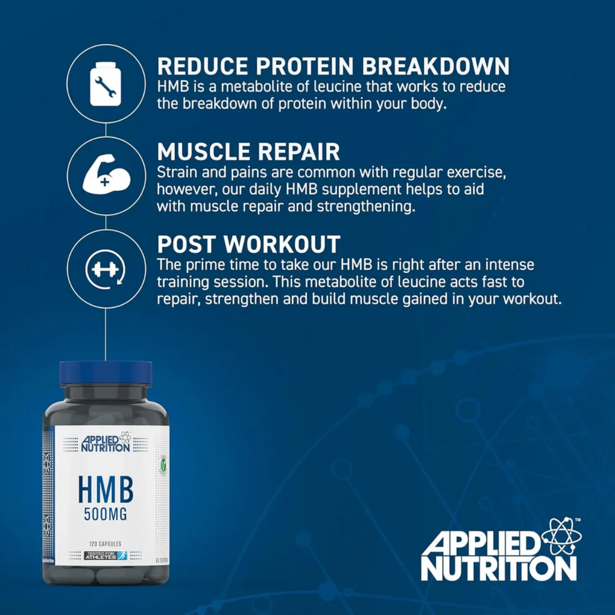 Applied Nutrition, HMB, Post-Workout, Boost Muscle Recovery, 500mg, 120 Capsules - Ultimate Sup Singapore