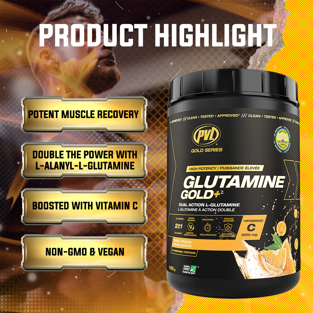 PVL Gold Series, Glutamine Gold+, Amino Acid, Improve Digestion & Supports Immune System, 1100 g (239 Servings) - Ultimate Sup Singapore