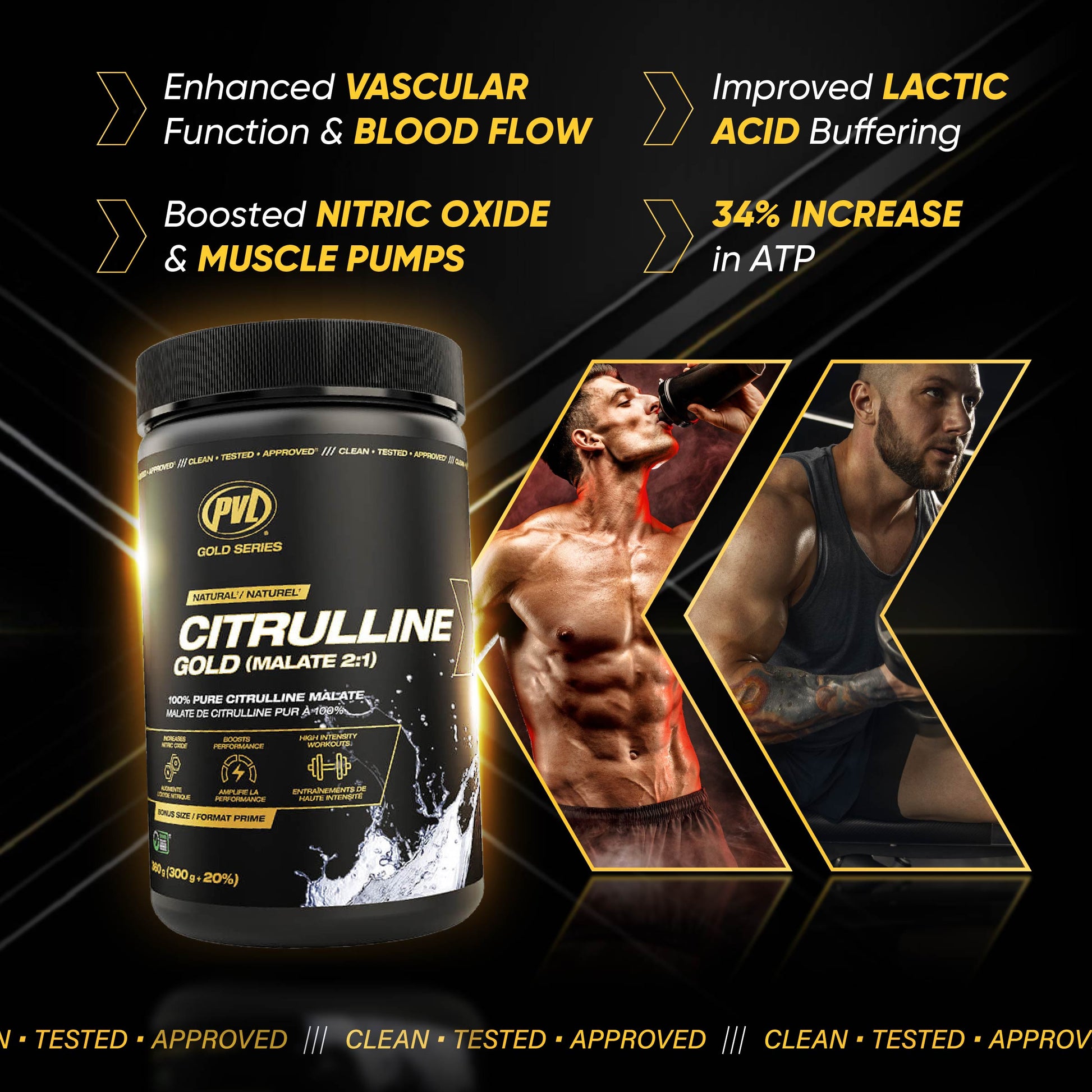 PVL Gold Citrulline Malate 2:1 | Enhance Vascular Function | Boost Nitric Oxide | Reduce Fatigue | 360g - Ultimate Sup Singapore