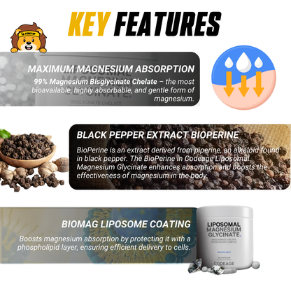 Codeage, Liposomal Magnesium Glycinate, 120-240 Vegetable Capsules - Ultimate Sup Singapore