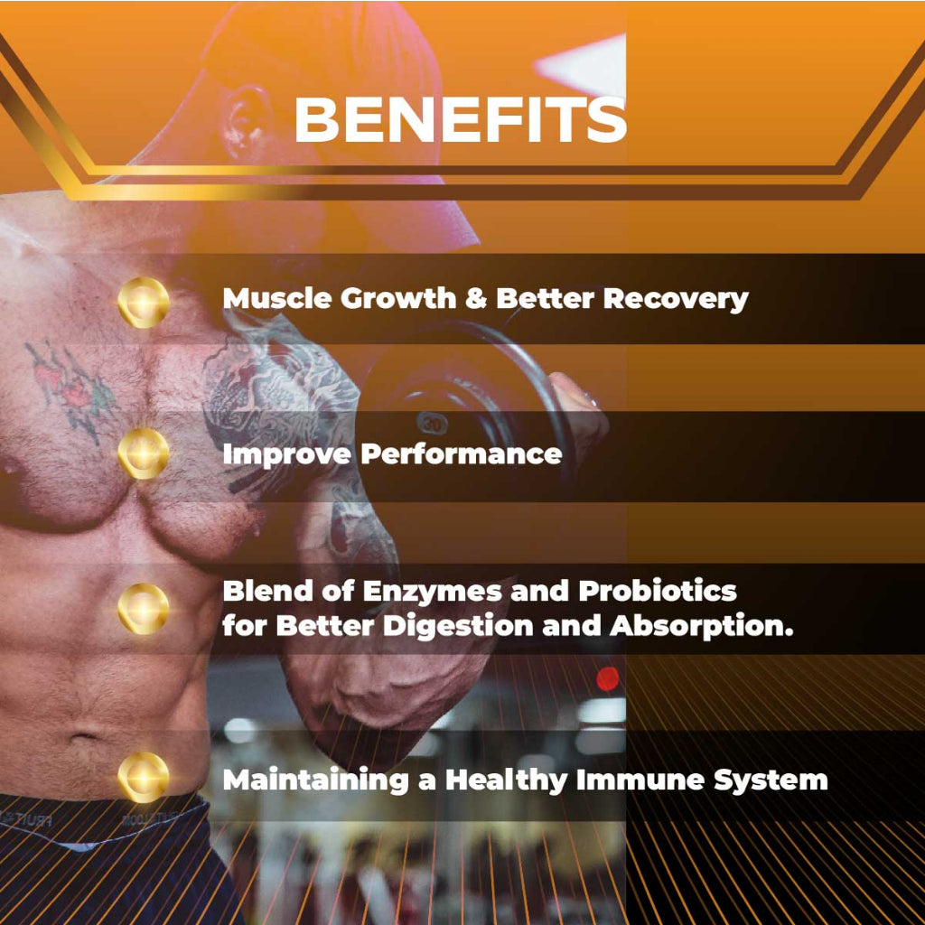 Combo STRENGTH AND ENDURANCE, PVL Iso Gold 5lb + PVL Creatine + Omega 3 200s + Domin8 520g + PVL Glutamine Gold + MT Multi 90T - Ultimate Sup Singapore