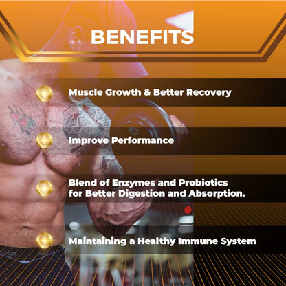 Combo STRENGTH AND ENDURANCE, PVL Iso Gold 5lb + PVL Creatine + Omega 3 200s + Domin8 520g + PVL Glutamine Gold + MT Multi 90T - Ultimate Sup Singapore