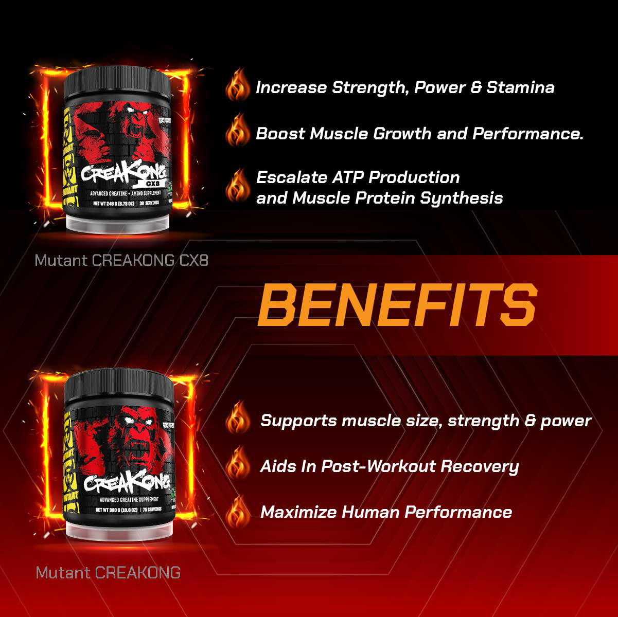 Combo ULTIMATE PERFORMANCE, Mutant Mass Extreme 2500 12lbs + CreaKong 300g + Omega 3 200s + JNX The Curse, Mass Gainer - Ultimate Sup Singapore