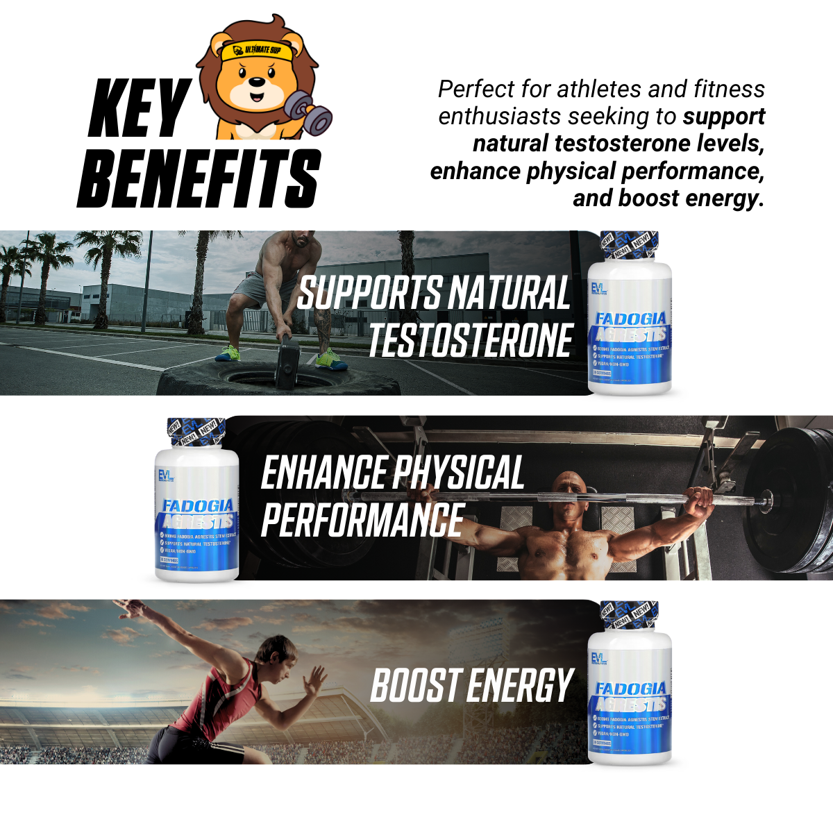 EVLution Nutrition, Fadogia Agrestis, Testosterone Booster, 600 mg, 30 Veggie Capsules - Ultimate Sup Singapore