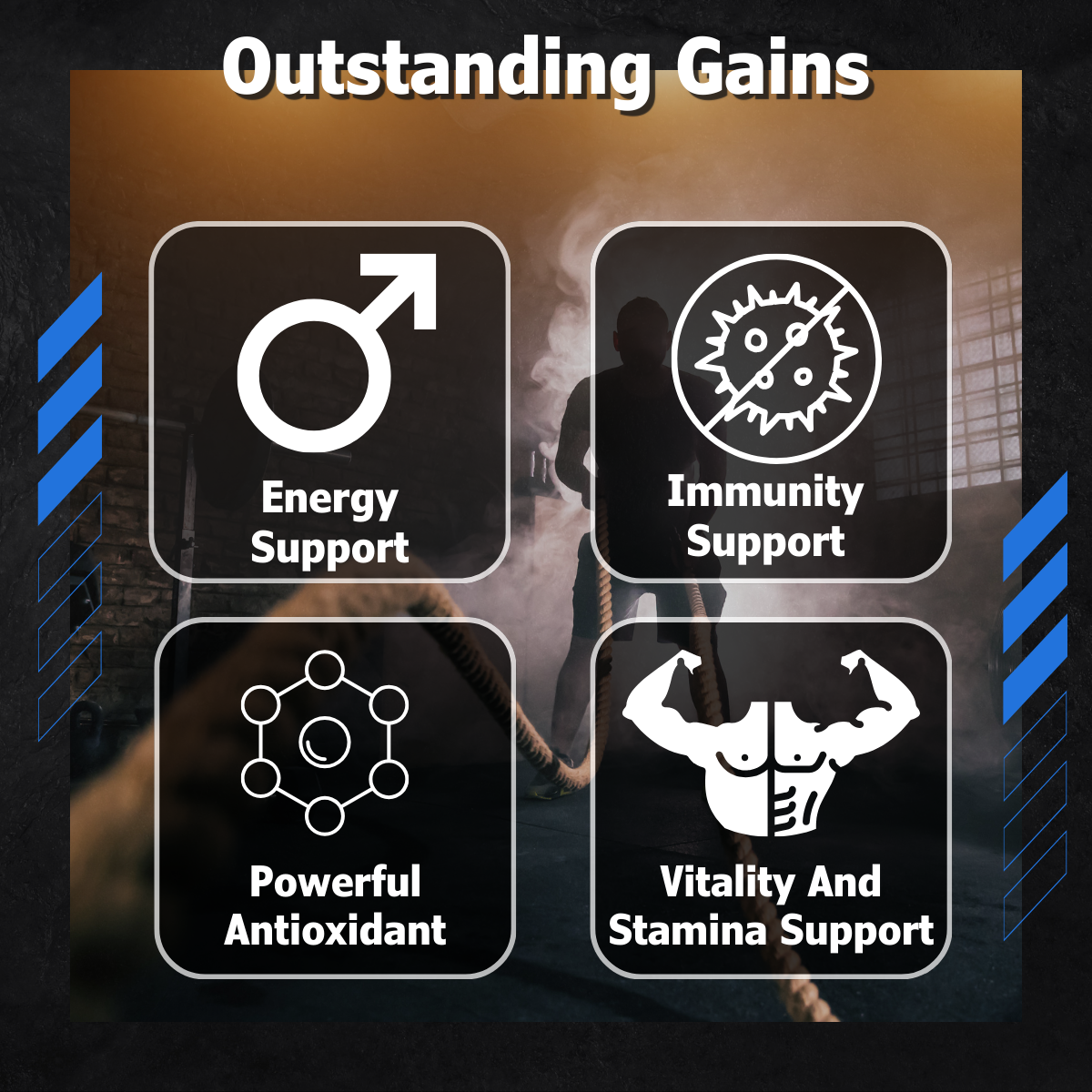 EVLution Nutrition, Shilajit, Enhanced Health Effectiveness, Energy Booster, 60 Veggie Capsules - Ultimate Sup Singapore