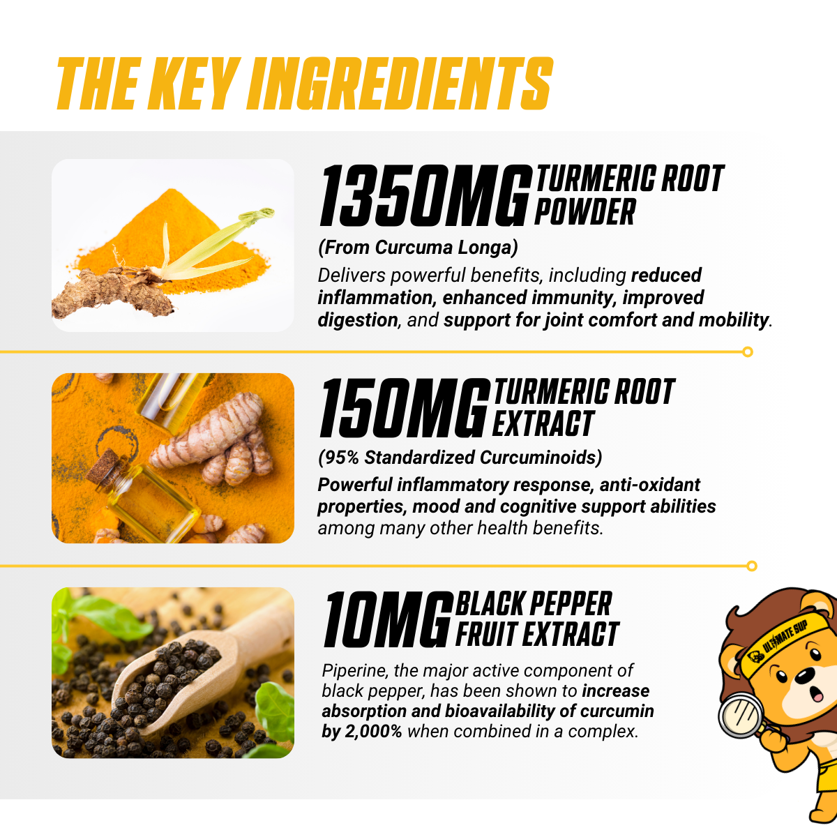 EVLution Nutrition, Turmeric1500 | Turmeric Curcumin with Bioperine, Fast Absorption, Anti Inflammatory, Antioxidant, For Digestive Skin Muscle Immunity Liver & Joint Support | 90 Veggie Capsules - Ultimate Sup Singapore