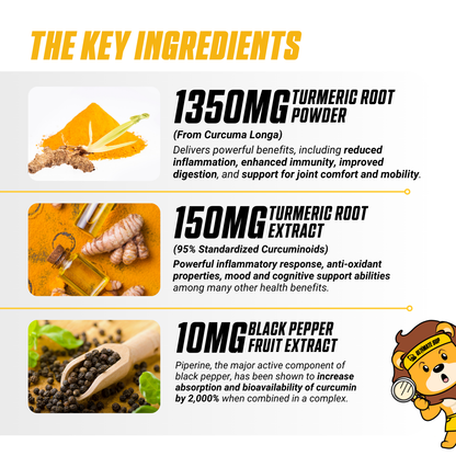 EVLution Nutrition, Turmeric1500 | Turmeric Curcumin with Bioperine, Fast Absorption, Anti Inflammatory, Antioxidant, For Digestive Skin Muscle Immunity Liver & Joint Support | 90 Veggie Capsules - Ultimate Sup Singapore