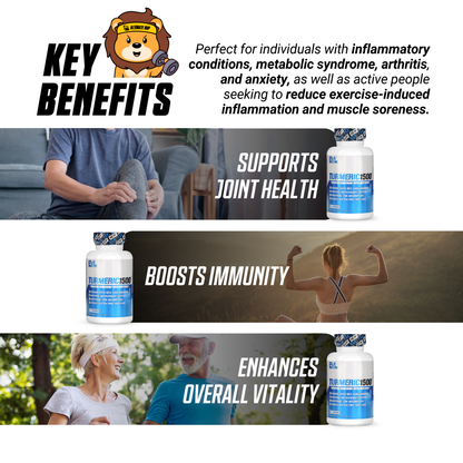 EVLution Nutrition, Turmeric1500 | Turmeric Curcumin with Bioperine, Fast Absorption, Anti Inflammatory, Antioxidant, For Digestive Skin Muscle Immunity Liver & Joint Support | 90 Veggie Capsules - Ultimate Sup Singapore