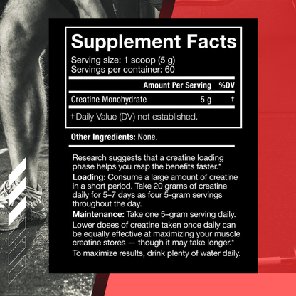 JNX Sports, The Curse! Micronized Creatine Monohydrate - Ultimate Sup Singapore