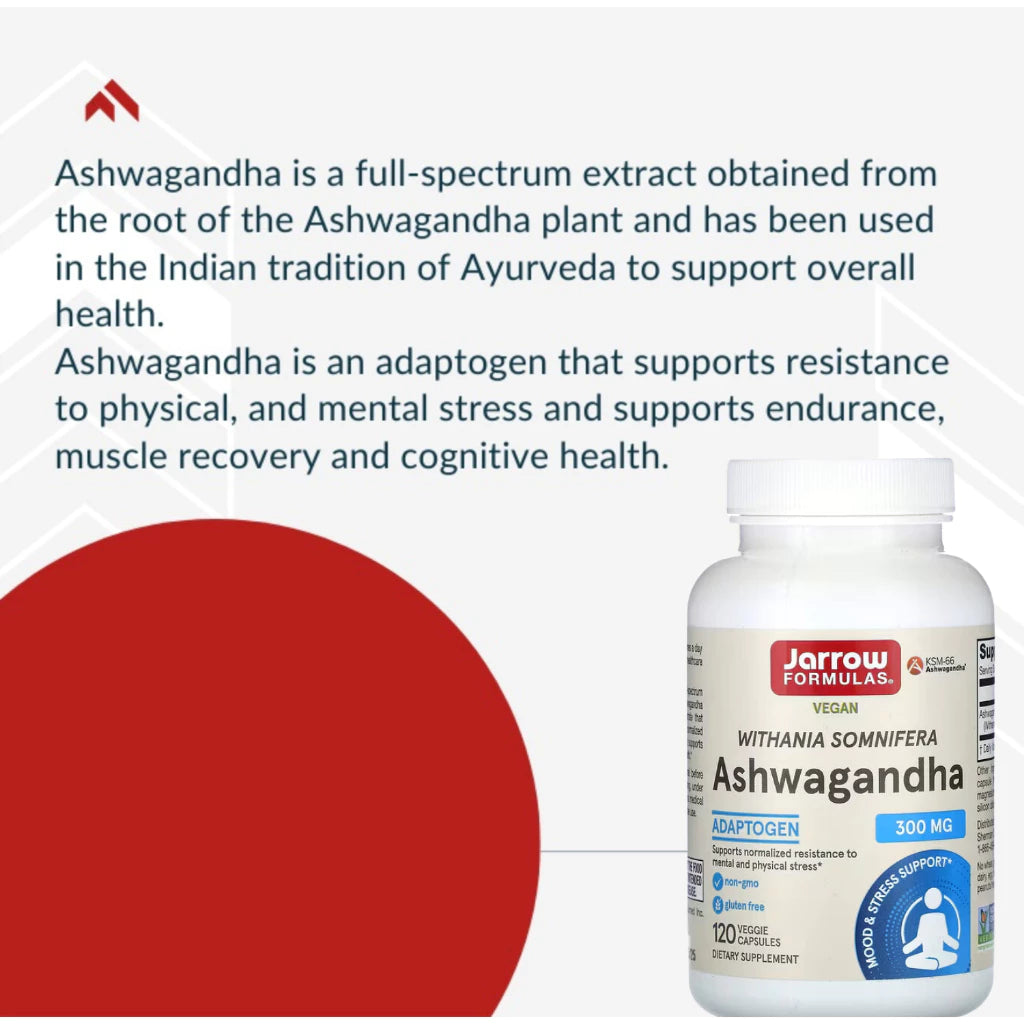 Jarrow Formulas, Ashwagandha, 300 mg, 120 Veggie Capsules - Ultimate Sup Singapore
