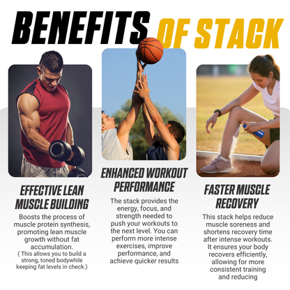 LEAN MUSCLE Stack, Build Muscle, Boost Recovery and Strength - Ultimate Sup Singapore