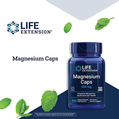 Life Extension, Magnesium Supplement, 500 mg, 100 Vegetarian Capsules - Ultimate Sup Singapore