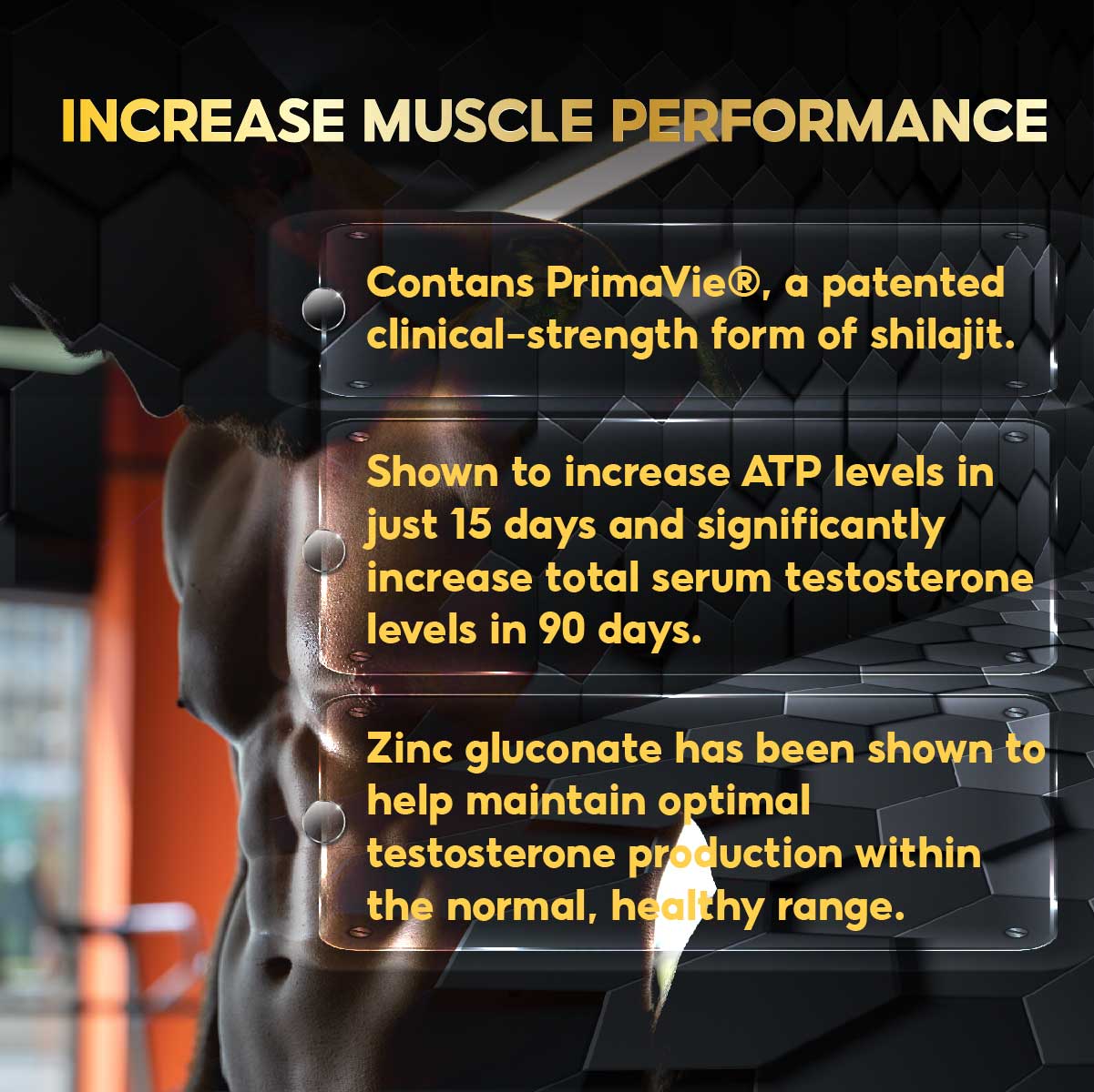 MuscleTech, Alpha Test Boost, 240 Capsules - Ultimate Sup Singapore