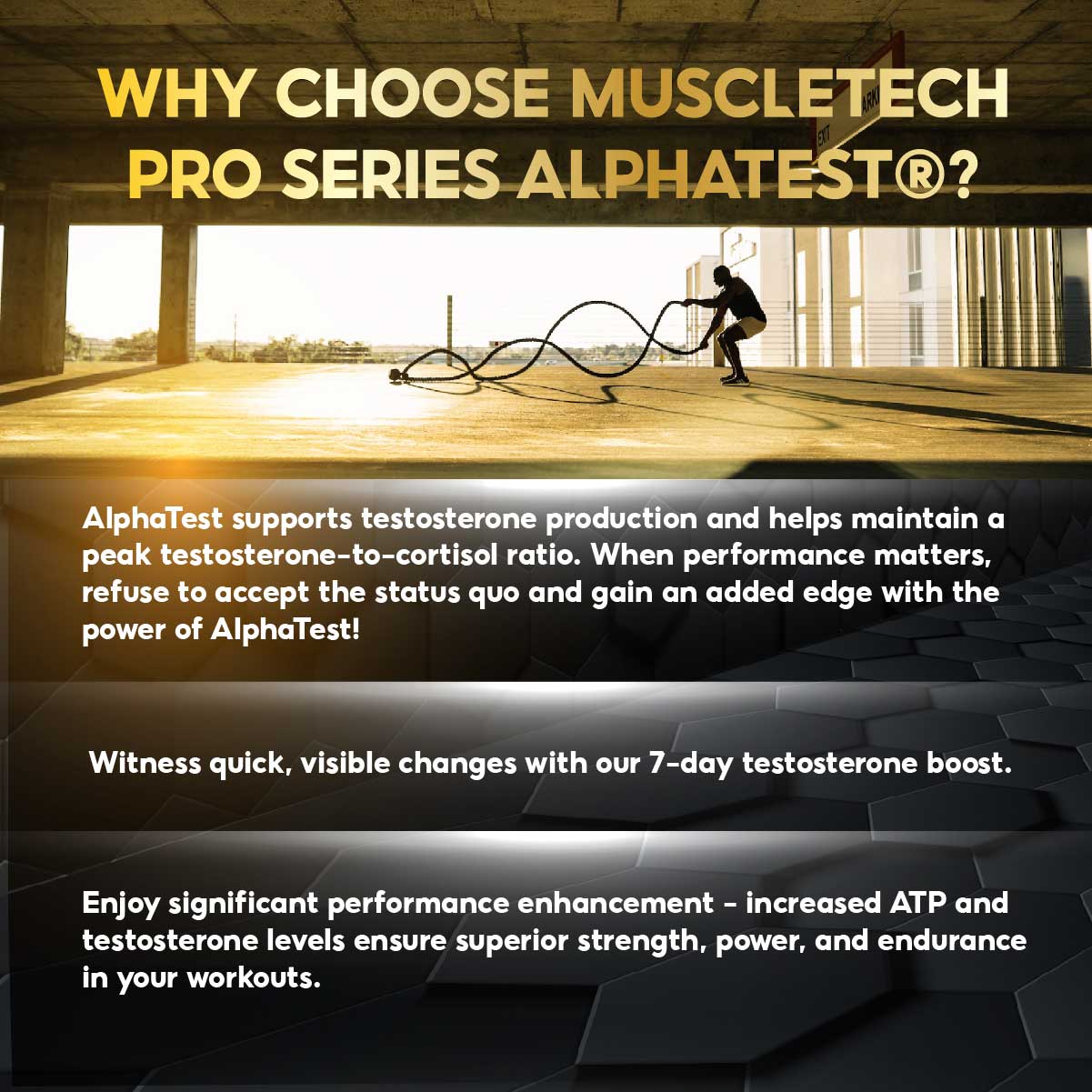 MuscleTech, Alpha Test Boost, 240 Capsules - Ultimate Sup Singapore