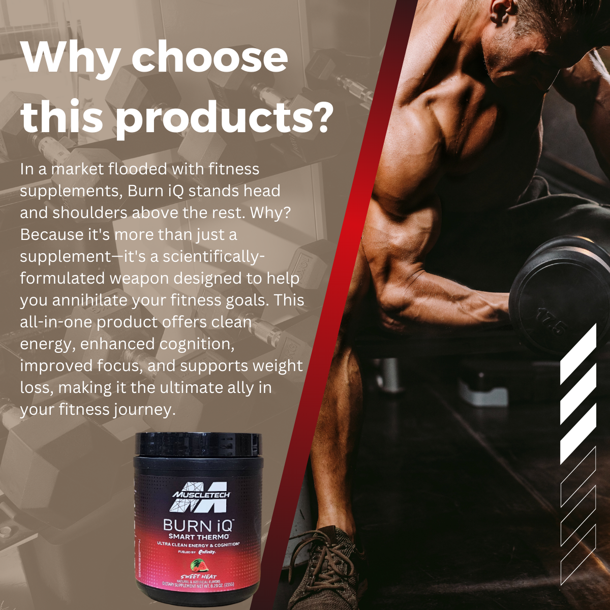 MuscleTech, Burn iQ, Smart Thermo, Cognitive & Memory Formulas, Sweet Heat, 8.29 oz (235 g) - Ultimate Sup Singapore