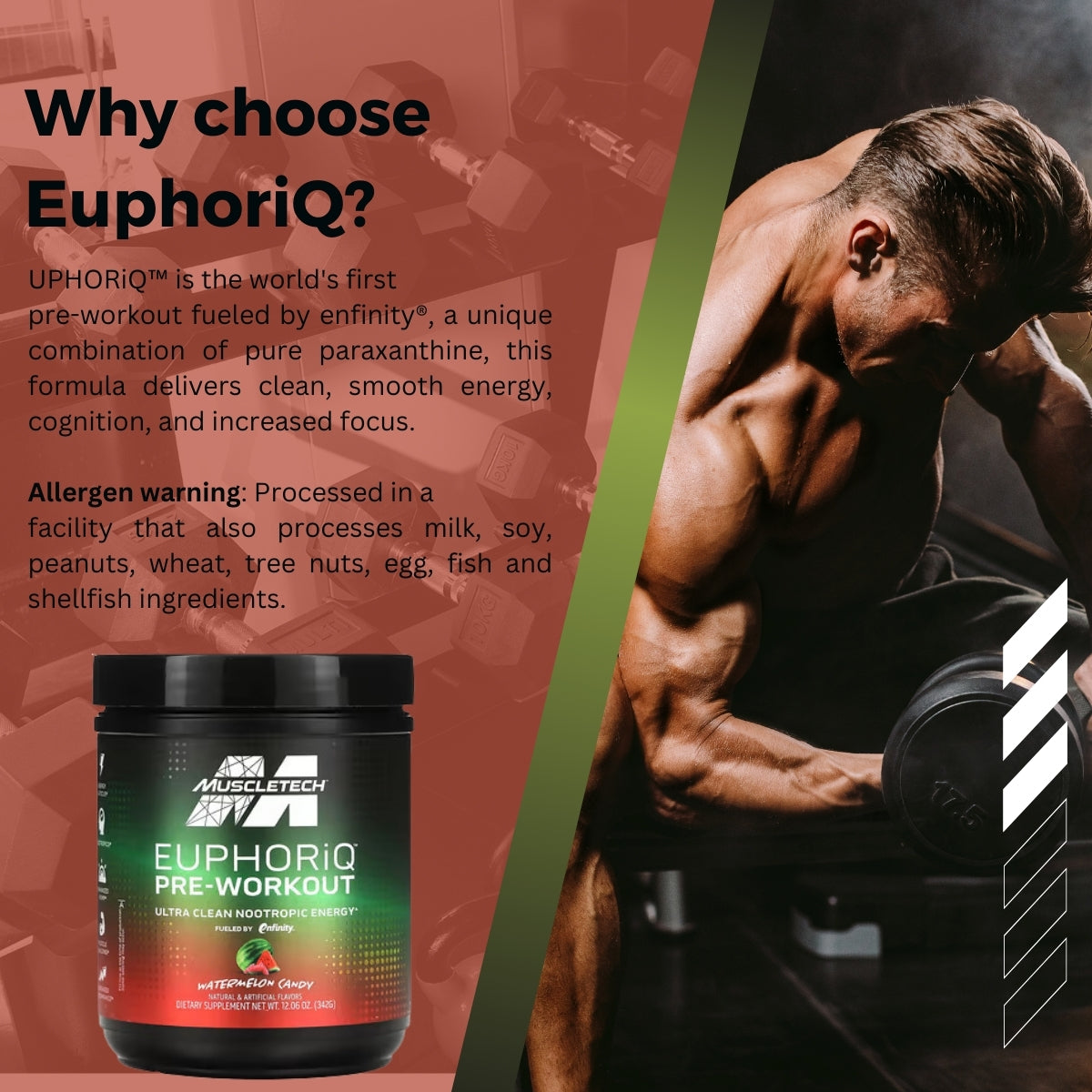 MuscleTech, EuphoriQ Pre Workout, 11.99 oz (340 g) - Ultimate Sup Singapore